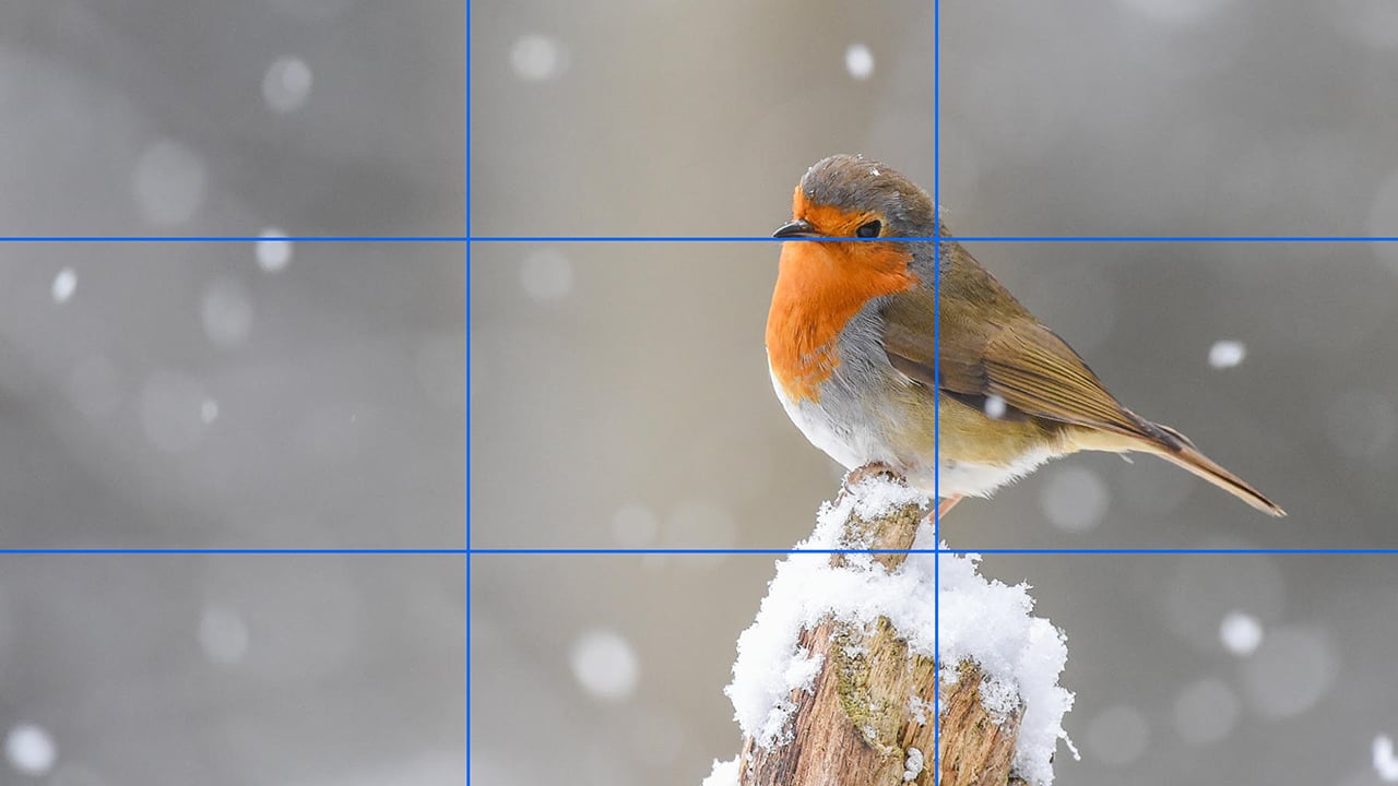 Try to observe standard aspect ratios and composition thought when cropping an image. Image: 