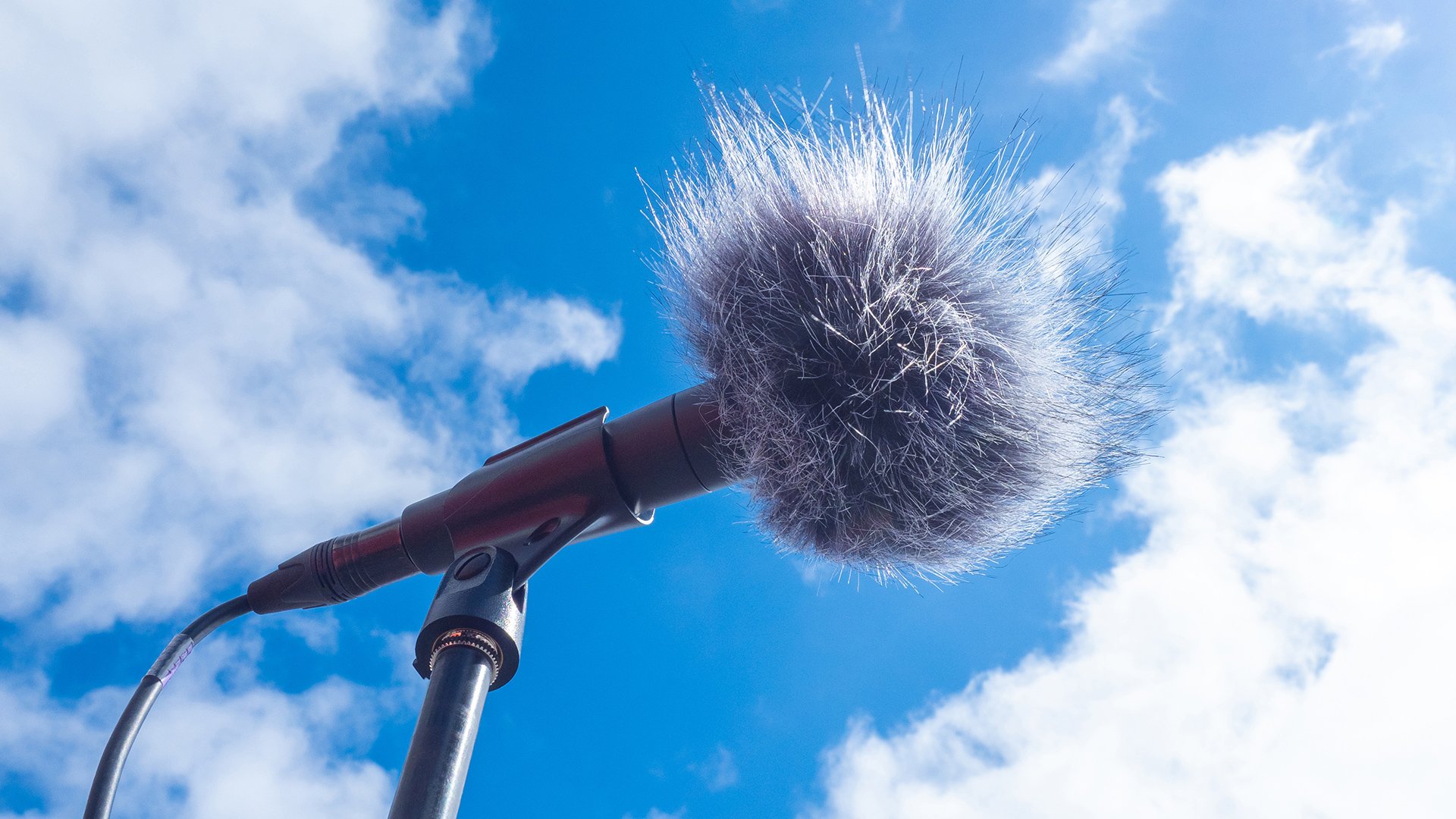 How to reduce wind noise in audio.